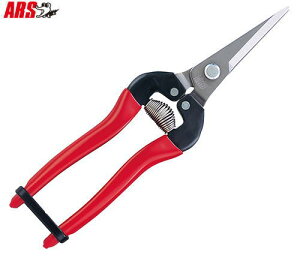 y[ zy3܂/1z AX E O^Cv XeX 300L-DX-BP