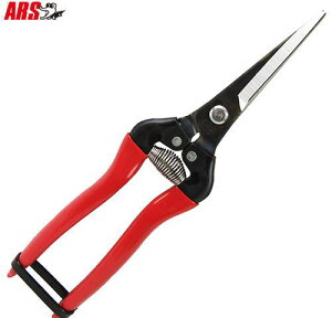 y[ zy3܂/1z AX E GLXgO^Cv 300LL-BP