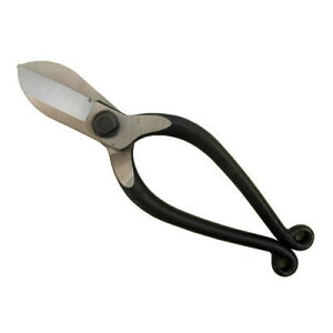 y[ցz P  j؂t D-55H No.215