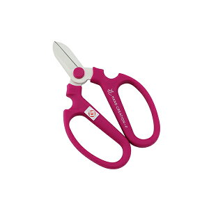 y[ z ⌹ nhNG[V F170 oCIbg 170mm nP[Xt 50352