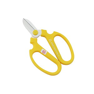 y[ z ⌹ nhNG[V F170 CG[ 170mm nP[Xt 13352