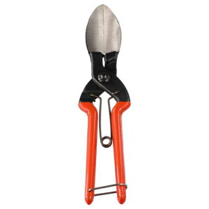 y[ցz zKc J{`̎؂ ڂ 200mm { SUWADA ڂ