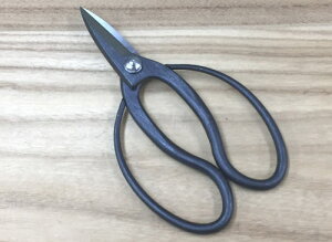 y[ցz 㓪 v 180mm | ł Y {