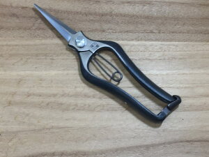 y[ցz 㓪  200mm VmMt n ~ { 葢