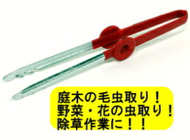 楽天市場 虫取り草の通販 楽天市場 虫取り草の通販