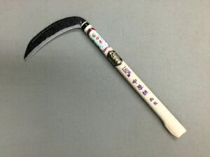 ʓ{ n  n180mm 360mm| (zOŐn)({)(b)