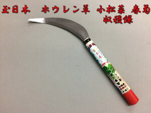 ʓ{ Ȍ^ zEE؁Eten n180mm 210mm 葢 {