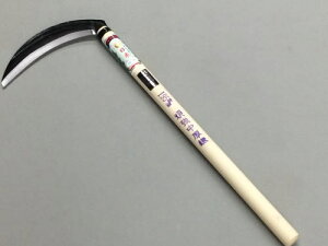 ʓ{ 拭 n195mm 450mmە Аn | {