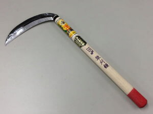 cʃ}EV ő n195mm 390mm Аn |