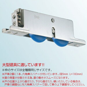 Rdi 2Adʉˎ XeXg 50mm V^ TMSWY509 y1z