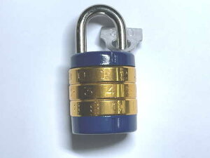 y[ z K[hbN ԍ NO.100 23mm  킹