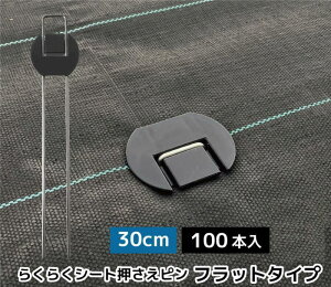 DAIM rj[ 炭炭V[gs tbg^Cv 30cm y100{z
