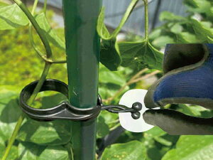 y[ zDAIM Ђ˂ăLb` 16mmxp 10 rj[ U  x