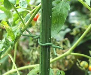 y[ z DAIM rj[ 炩oh 2.5mm×5m