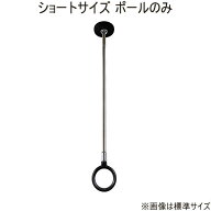 【メール便 可】 川口技研 室内用ホスクリーン ショートサイズ ポールのみ BK ブラック SPCS-BK用 【1本…