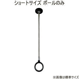 y[ z Z pzXN[ X|bg^ V[gTCY |[̂ BK ubN SPCS-BKp y1{z {̕ʔ