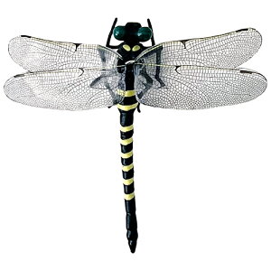 ~LRX C`Ȓ̓VG Ij}Z ԌˁEKXp M-56 }OlbgzՃ^Cv ŃMl쏊 MIKI LOCOS