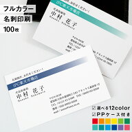 名刺　印刷イメージ確認あり！名刺 カラー 名刺印刷 名刺 シンプル カラー 名刺 横 b007【片面/100枚】