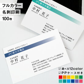 名刺　印刷イメージ確認あり！名刺 カラー 名刺印刷 名刺 シンプル カラー 名刺 横 b007【片面/100枚】
