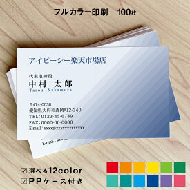 名刺　印刷イメージ確認あり！名刺 カラー 名刺印刷 名刺 シンプル カラー 名刺 横 カラー 名刺 b030【片面/100枚】