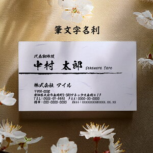 y|Cg10{zC[WmFIM ah h h쐬 Vv h 쐬  ZyЖ/100zĂꂢ