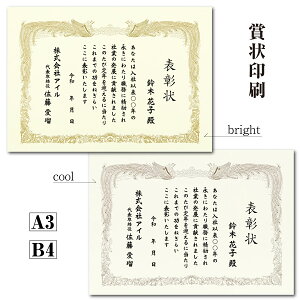 賞状印刷 A3 B4 クリーム色 【イメージ確認あり】感謝状 表彰状 賞状 名入れ賞状 御礼 御祝 送料無料 校正無料 地域・社会貢献 コンテスト MVP 勤続 定年 退職 長寿 還暦 修了証書 昇級 雲あり