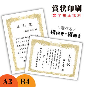 賞状印刷 A3 B4 【イメージ確認あり】感謝状 表彰状 賞状 名入れ賞状 御礼 御祝 送料無料 校正無料 地域・社会貢献 コンテスト MVP 勤続 定年 退職 長寿 還暦 修了証書 昇級 雲あり 雲竜