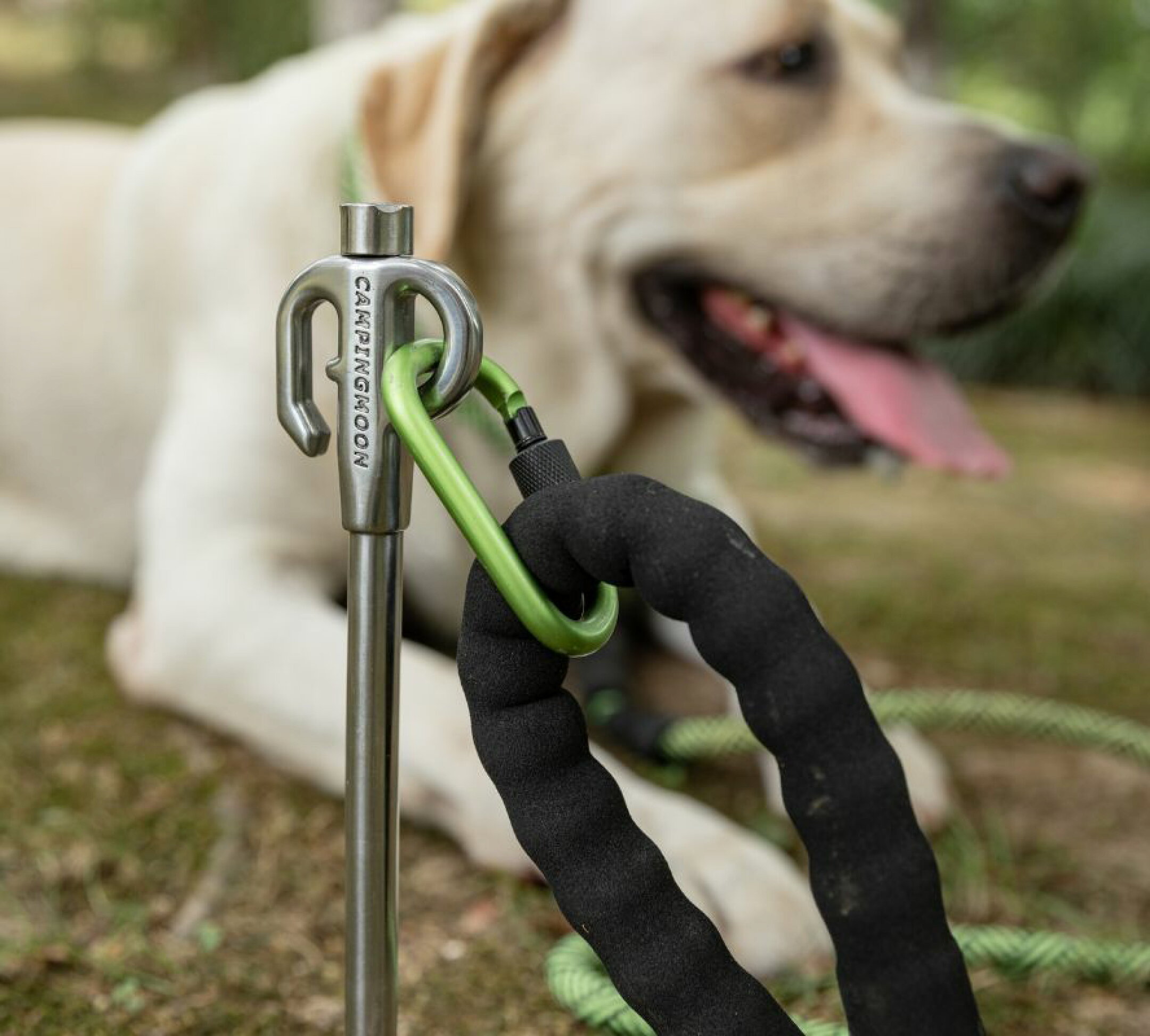 大型犬用 45cm ＞