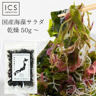 国産 乾燥海藻サラダ 50g 100g わかめ 茎わかめ 昆布 白おご 赤とさか 送料無料 イクスセレクション グル…