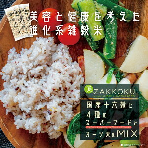 ZAKKOKU G 21uh 12 Y16{X[p[t[hiA}TXELkAE`AV[hEwvV[hj{I[c