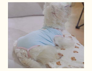 �y2�_�w���ł����I12/3�`12/11�X�[�p�[�Z�[���J�ÁI�����z�{PointUP�z �� �T�j�^���[�p���c �}�i�[�p���c �p�㕞 ��앞 �����₷�� ���p �����p���c �L�k�����Q �}�i�[ �p��P�A ���r�ߖh�~ �_