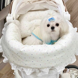 y12/4`12/11X[p[Z[QI芄|CgUPz ybgJ[g NbV 3_Zbg ⊴ ̂ lGΉ 􂦂 [XfUC  킢 K J[g J[gANZT