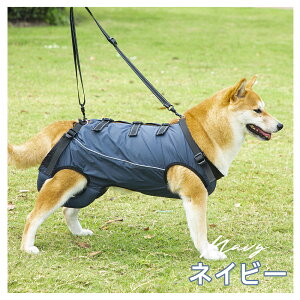 y܂ƂߔłgNIN[|zzz   n[lX pi pn[lX  pn[lX  n[lX  ⏕n[lX p  s⏕ VjA s ⏕ p p