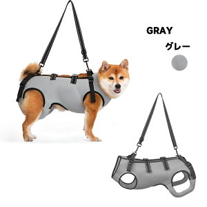   n[lX ėp ʋC Sg\ p n[lX bV V ⏕n[lX s⏕ VjA ~^ p nr pi Ȃ ɂ  o U