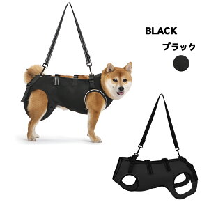 y}\IP5{{N[|ՁIz   n[lX ėp ʋC Sg\ p n[lX bV V ⏕n[lX s⏕ VjA ~^ p nr 