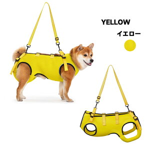 y}\IP5{{N[|ՁIz   n[lX ėp ʋC Sg\ p n[lX bV V ⏕n[lX s⏕ VjA ~^ p nr 