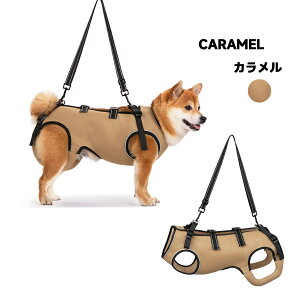   n[lX ėp ʋC Sg\ p n[lX bV V ⏕n[lX s⏕ VjA ~^ p nr pi Ȃ ɂ  o U