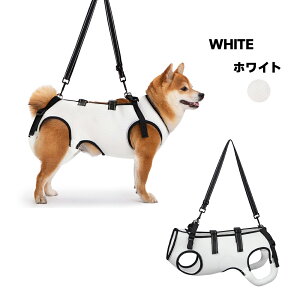 y12/3`12/11X[p[Z[JÁI芄{|CgUPz   n[lX ėp ʋC Sg\ p n[lX bV V ⏕n[lX s⏕ VjA ~^ p 