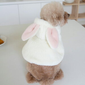 yubNtCf[|Cg5{UP×10%|CgobNՂIz  ~ H ybg      nEB ETM   킢   ӂӂ  yb