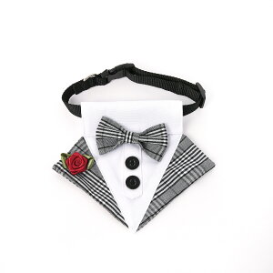  lN^C  O`FbN  tH[}EFA   nEB N  p[eB[  킢 ߉\ ^ ^  LOBe a RXv  nEB N