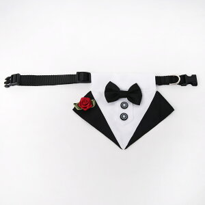  lN^C  O`FbN  tH[}EFA   nEB N  p[eB[  킢 ߉\ ^ ^  LOBe a RXv  nEB N