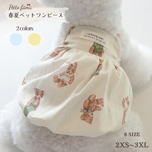 y1̓|Cg10{DAYIz  s[X t o[XJ[g ybg t Rbg ETM N} s[X  hX XJ[g ^/^ hbOEFA 킢 y