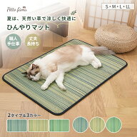 【期間限定！店内クーポン配布中 最大1,000円OFF】 ペットベッド い草マット 夏 ひんやり ペット クッシ…