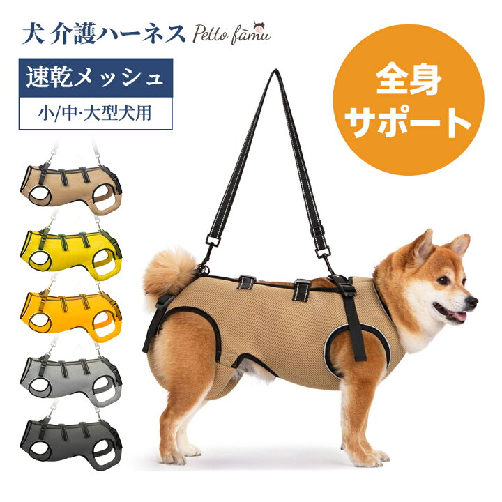 楽天市場】【お買い物マラソンP5倍＋5%OFFクーポンでお得に購入】 犬 