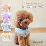【★全品対象★10％OFFクーポン＆まとめ買いクーポン配布中！】 犬 ハーネス レース おしゃれ かわいい …