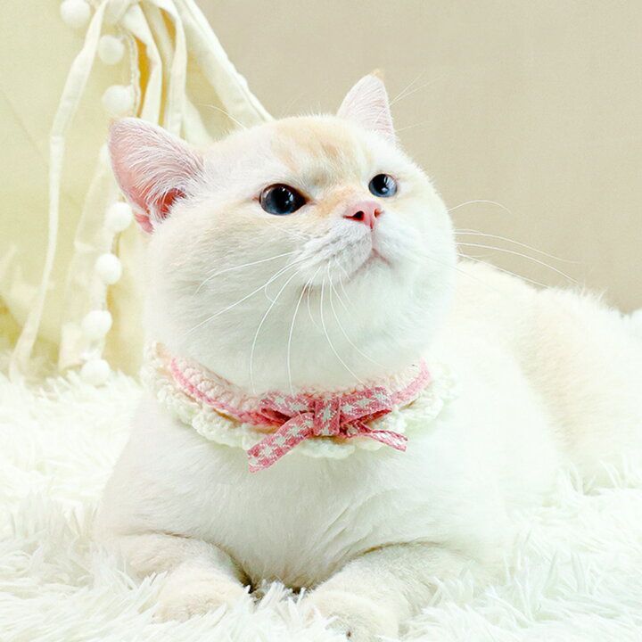 楽天市場】猫 首輪 リボン 猫首輪 猫用品 猫用 ねこ 首輪 毛糸 リボン  