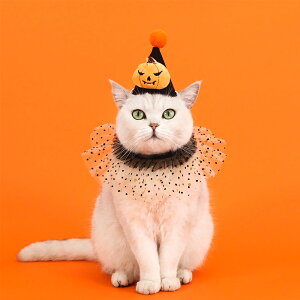 ybgo_i ybg̕ nEB nEB ybgpi RXv  J{` NT^ ybg nEB ߑ Xq L  ybg XJ[t lbN`[J[ L