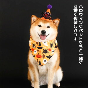 ybgo_i ybg̕ nEB nEB ybgpi RXv  J{` NT^ ybg nEB ߑ Xq L  ybg XJ[t lbN`[J[ L