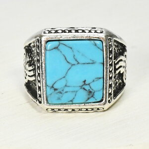 ^[RCY 䃊O AeB[N w Ô NVJ