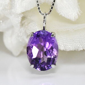 嗱̕΁I 2Jbg̃AWXg I[oJbg ꗱlbNX VR΃y_g Vo[925 {WG[